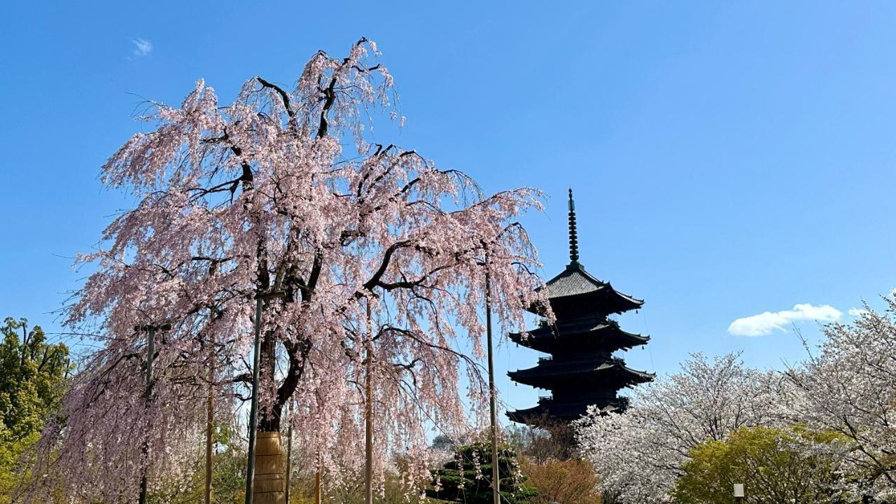 Kyoto Toka Inn京都東華inn Exteriér fotografie